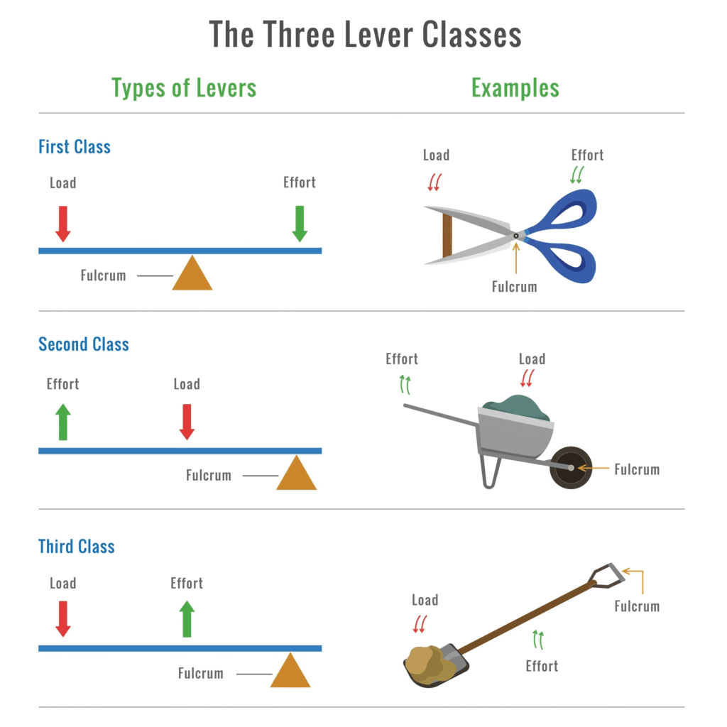Biomechanics And Sports | Chapter 8 Notes 2025