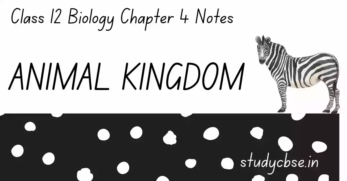 Animal Kingdom | Class 11 Biology Chapter 4 Best Notes