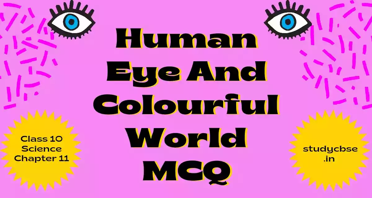 Human Eye And Colourful World MCQ