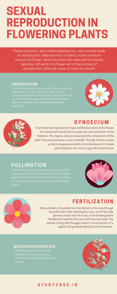 Sexual reproduction in flowering plant mcq