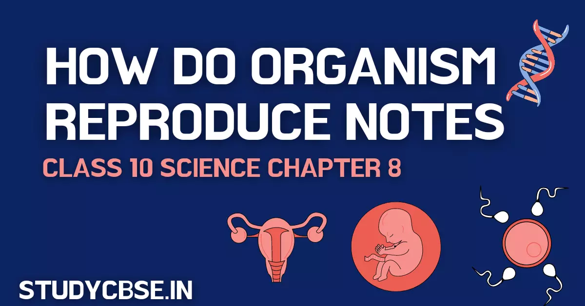 How do organism reproduce notes
